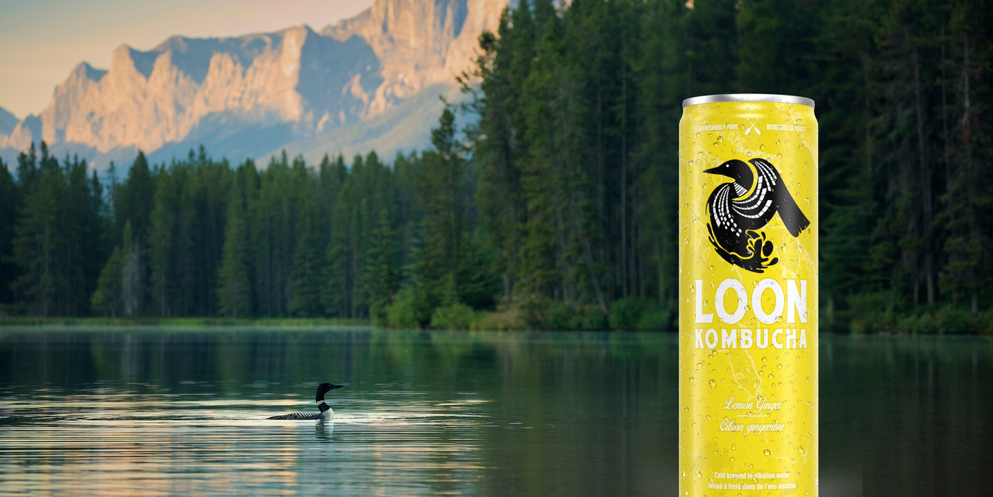 Loon Kombucha