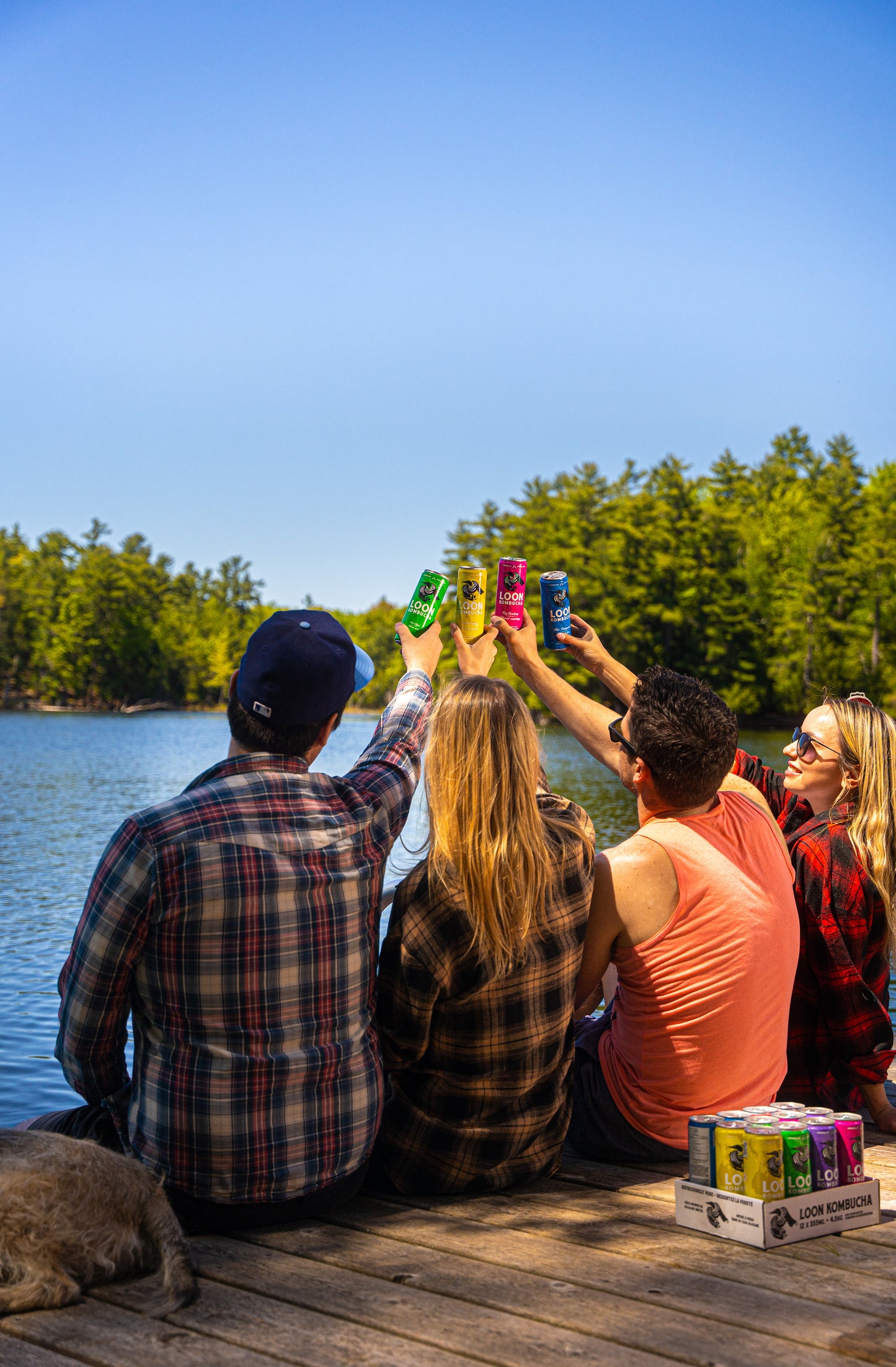 Loon Kombucha