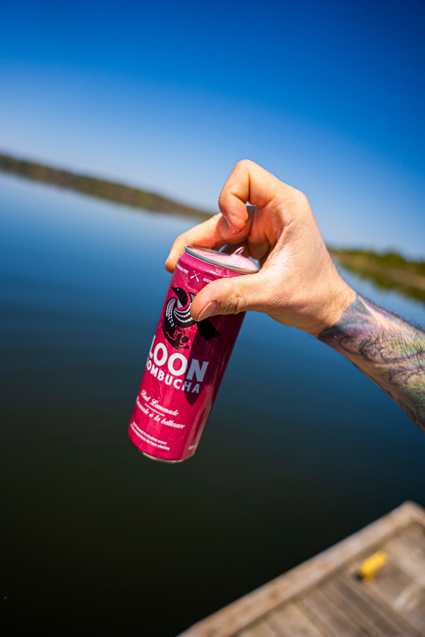 Loon Kombucha