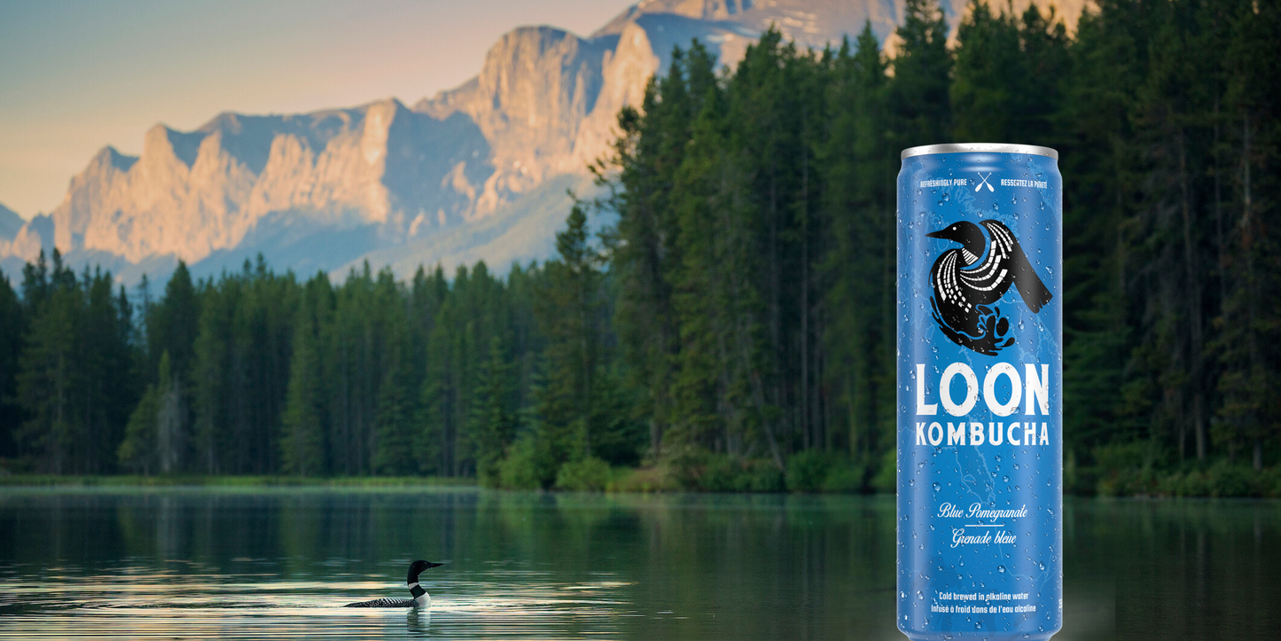 Loon Kombucha